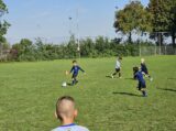 Mini Toernooitje op Sportpark Het Springer met S.K.N.W.K. JO7 en De Jonge Spartaan JO7 (100/174)